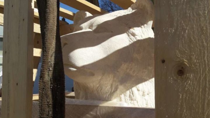 A Cassino la statua dell’orso Woytek, in corso l’installazione in piazza XV Febbraio