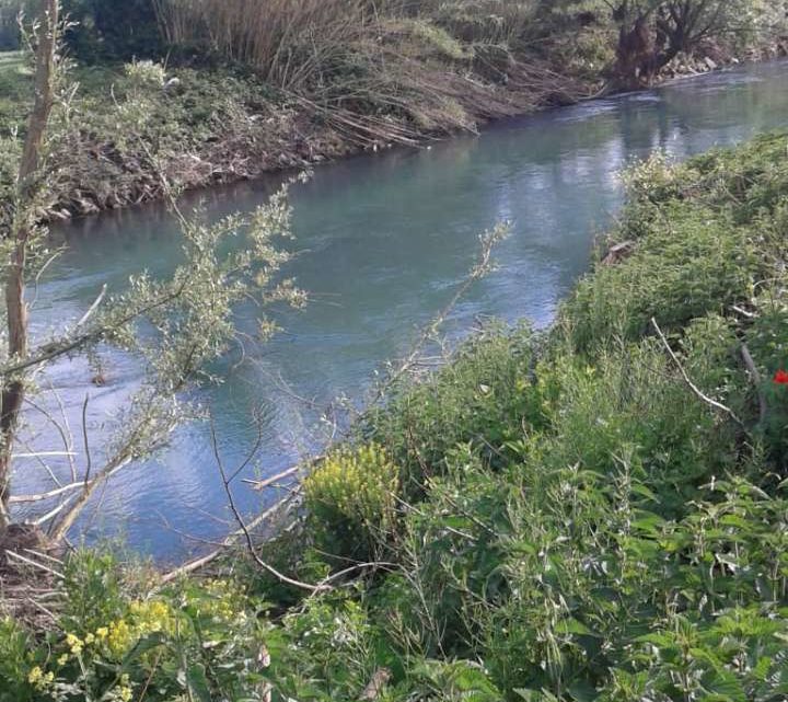 Cassino, donna nel fiume Gari a Sant’Angelo: ricerche in corso