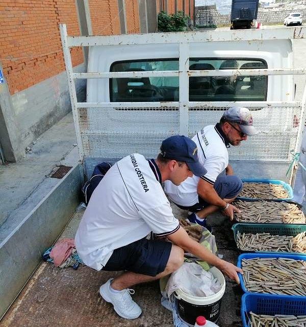 Pescatore multato dalla Guardia costiera di Formia, trasportava il pescato con un mezzo non idoneo