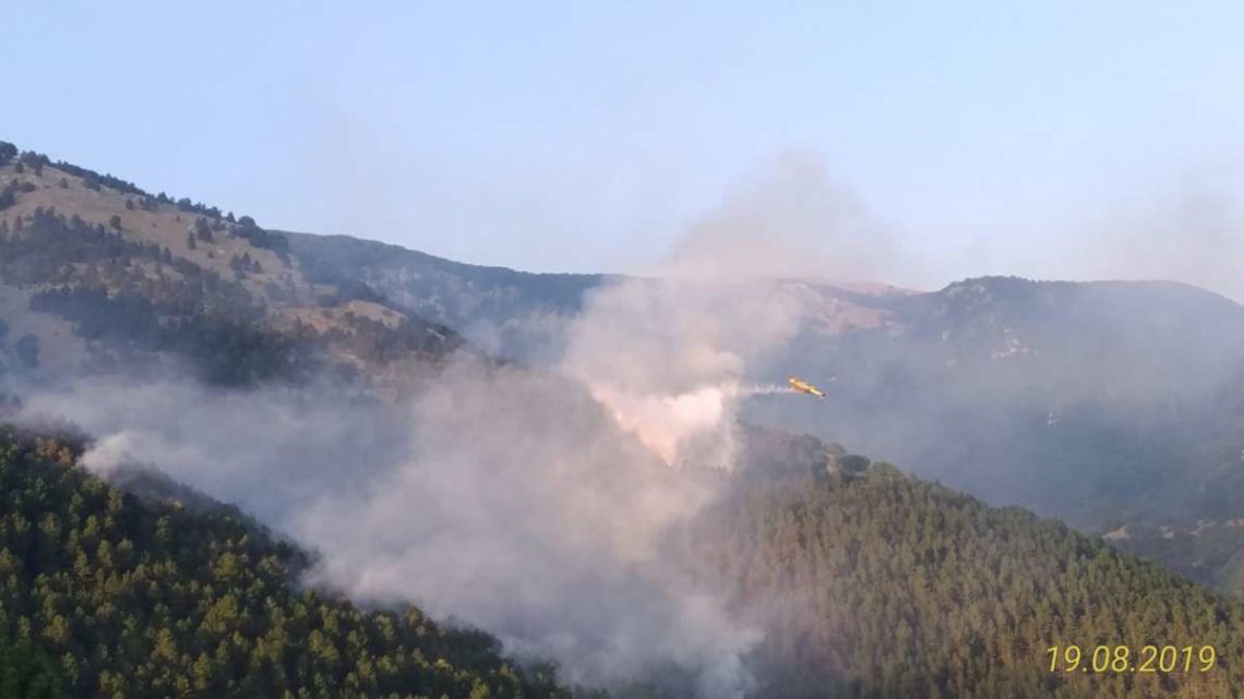 Inceneriti 70 ettari di bosco a San Donato, spegnimento ostacolato dagli alberi abbattuti dalla nevicata del 2012