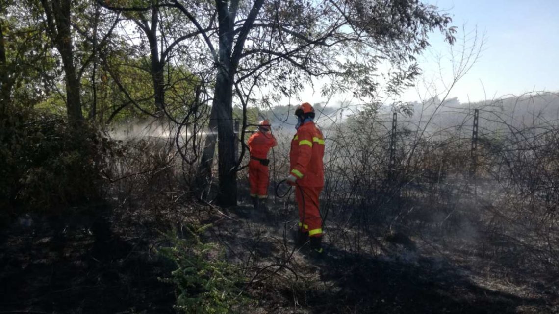 Incendio ad albano Laziale, arsi dieci ettari di sterpaglie vicino ad ex discarica