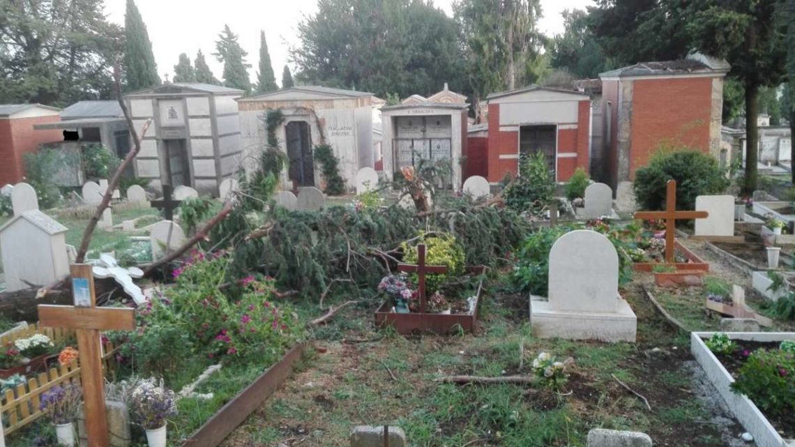 Maltempo, cipressi e rami su tombe e cappelle gentilizie; chiuso il cimitero di Velletri