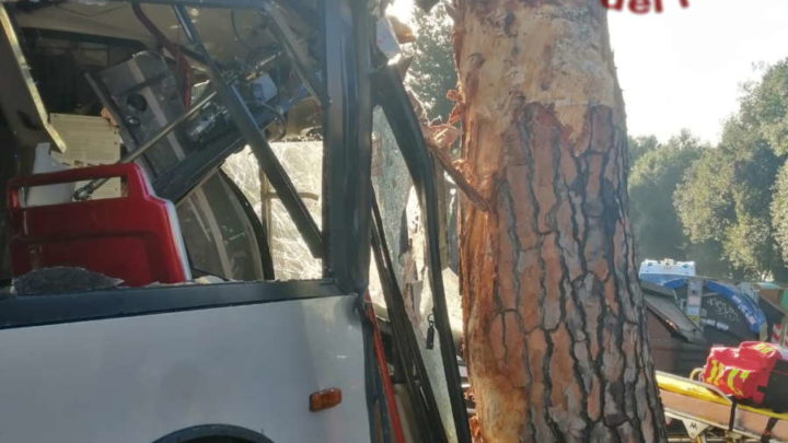 Bus si schianta contro un albero, decine di feriti a Roma