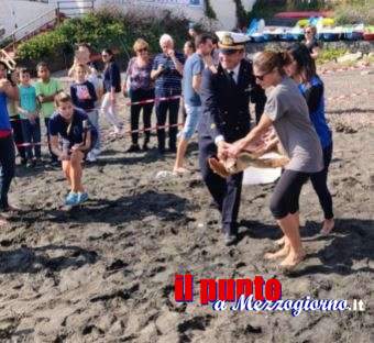 La tartaruga Aprea torna in mare a Ventotene