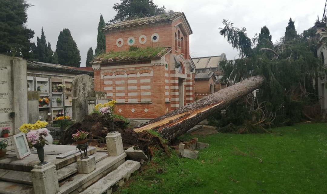 Maltempo di Natale a Velletri, raffiche di vento abbattono alberi nel cimitero e nei parchi pubblici