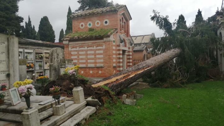 Maltempo di Natale a Velletri, raffiche di vento abbattono alberi nel cimitero e nei parchi pubblici