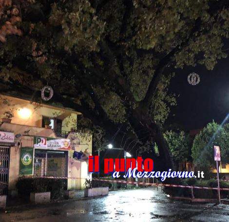 Maltempo ai Castelli, abbattuta la quercia secolare di Lariano mentre a Velletri il vento stacca coperture dai tetti