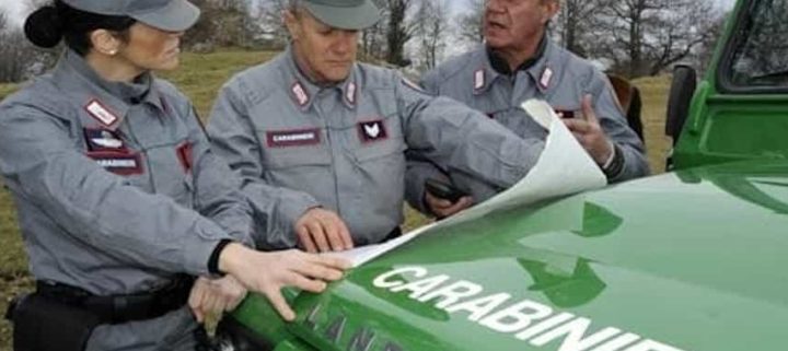 Misura cautelare eseguita dai Carabinieri Forestali per corruzione verso dieci imprenditori agricoli