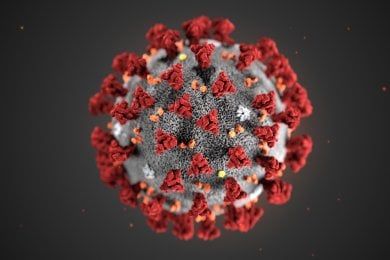 Coronavirus, sono 1577 i positivi