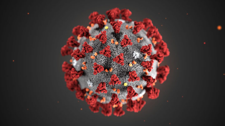 Un derivato fisiologico del colesterolo blocca il virus Covid-19. La ricerca dell’università di Torino