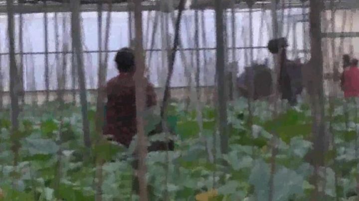 Vendevano a disperati per 4mila euro la “speranza” di rimanere in Italia, 5 denunciati