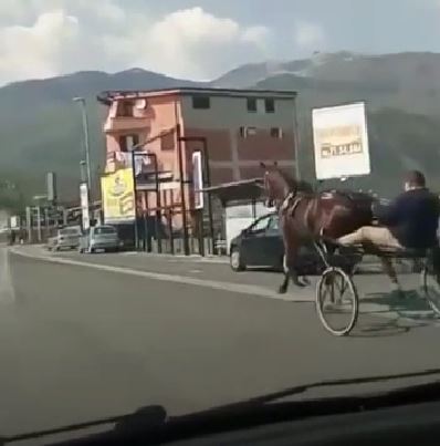 Corsa di cavalli clandestina a Pasqua, trovata a Sora la stalla e gli animali Corsa di cavalli clandestina a Pasqua, trovata a Sora la stalla e gli animali