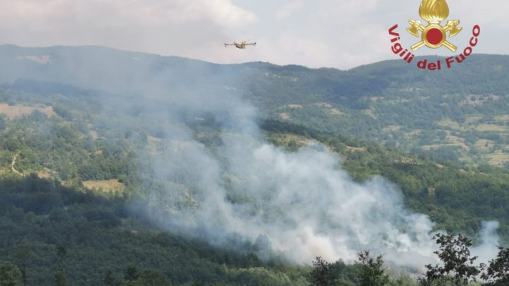 Cinque ettari di bosco bruciati a Rionero Sannitico