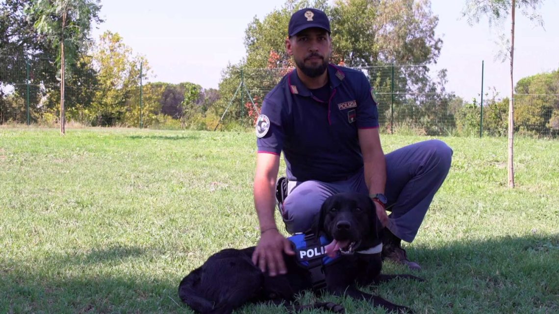Il video spot della Polizia di Stato contro l’abbandono dei cani