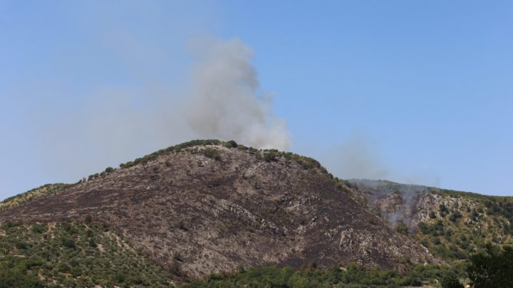 Pico – Incendio devasta monte La Taverna