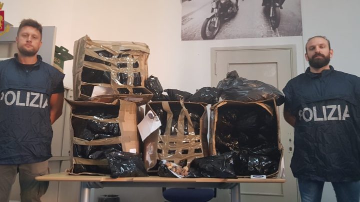 Roma – Corriere sbaglia consegna e scatta indagine, sequestrati 34 chili di bulbi da oppio