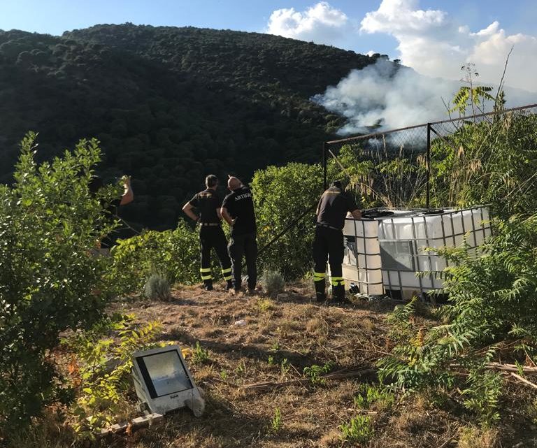 Incendio nel Parco Regionale di Montecassino