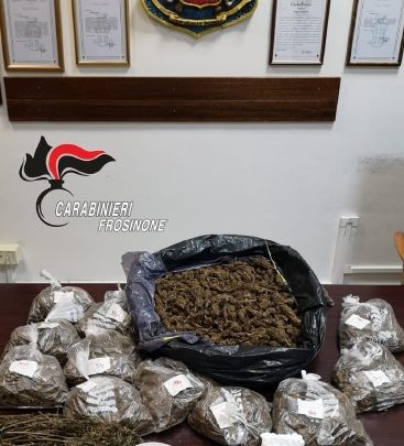 Tre chili di marijuana nei locali dell’ex motorizzazione, due persone arrestate a Frosinone