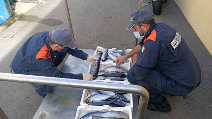 Gaeta – Sequestri su filiera della pesca e tutela demanio marittimo