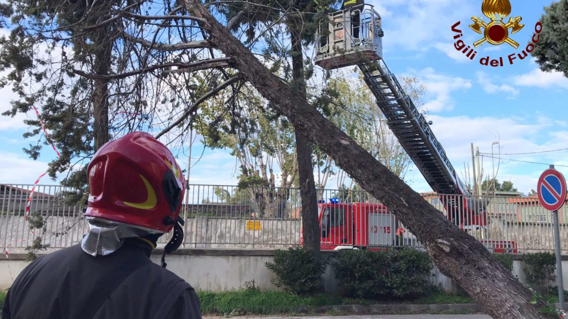 Forte vento, Vigili del Fuoco impegnati in tutta la provincia di Caserta