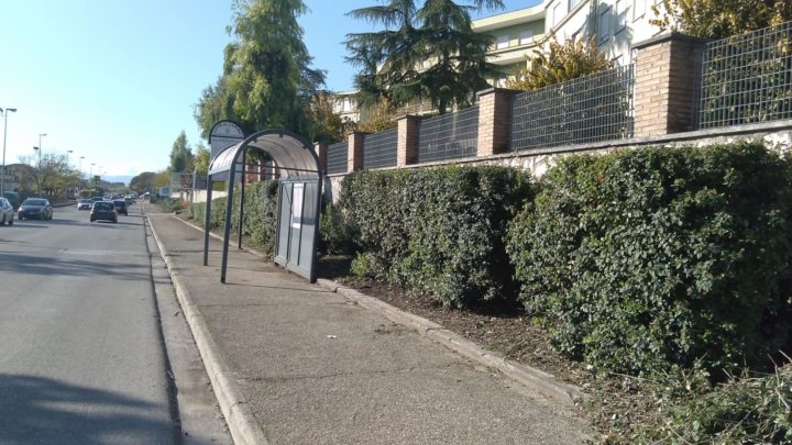 Cassino – Il Comune pota le siepi al rione Colosseo