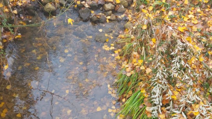 Il Vecchio Fiume Rapido di Cassino ridotto a pozzanghere, l’allarme di De Rosa e Perna