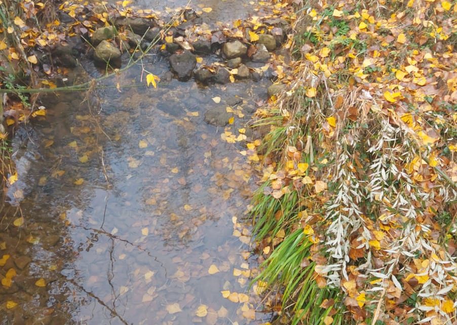 Il Vecchio Fiume Rapido di Cassino ridotto a pozzanghere, l’allarme di De Rosa e Perna