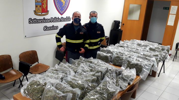In viaggio con 50chili di marijuana arrestato dagli agenti della Stradale di Cassino