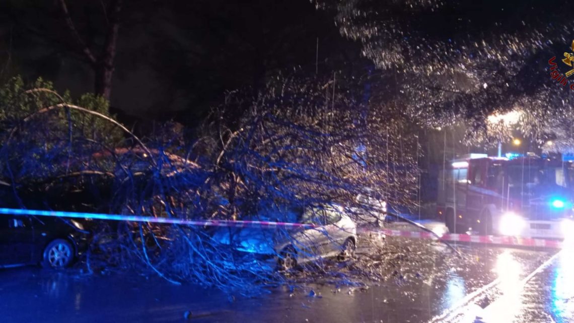 Caserta – Albero cade e colpisce un’auto bloccando madre con due figli nell’abitacolo