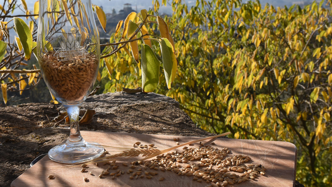 Alogastronomia Italiana: Birrificio Agricolo Sancti Benedicti primo per intravino.com Alogastronomia Italiana: Birrificio Agricolo Sancti Benedicti primo per intravino.com