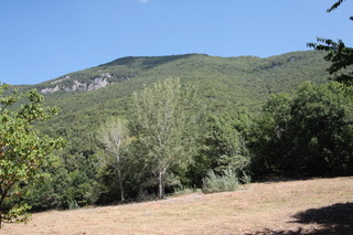 Subiaco – Italia Nostra: “Salviamo il Bosco delle Lucinette nella Valle dei Monasteri”