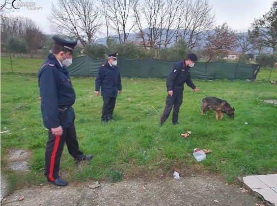 Cocaina, hashish e marjuana: arrestato 29enne di Pontecorvo e la moglie