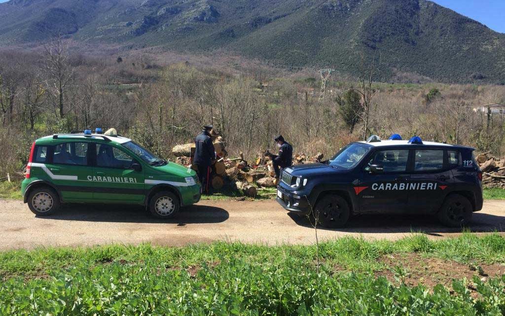 Mignano Montelungo – Tagliano legna senza autorizzazione, denunciati dai carabinieri che sequestrano bosco ceduo e trattore