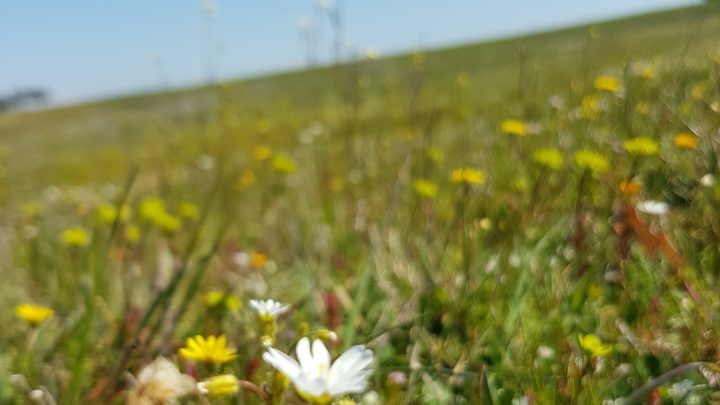 Il nuovo presidente di Fare Verde Cassino suona la tromba sull’ambiente, “ripartire dai giovani”