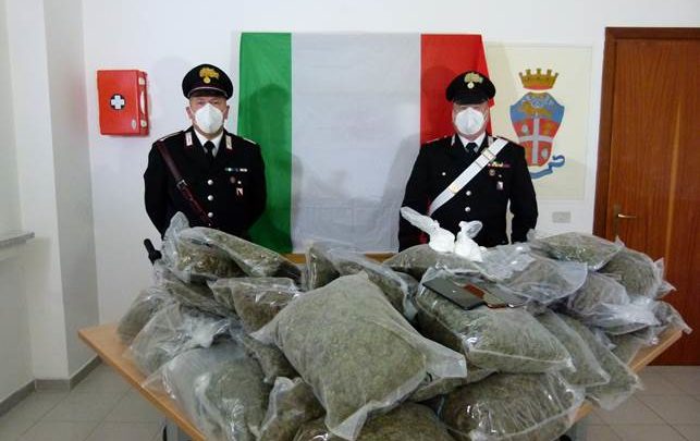 Serra “stupefacente” a Pratella, coniugi scoperti con 33 chili di droga