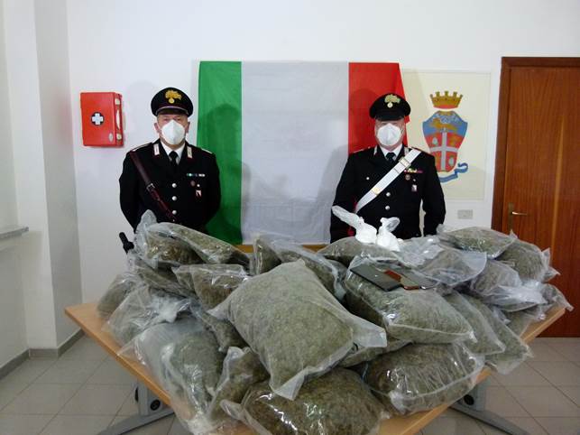 Serra “stupefacente” a Pratella, coniugi scoperti con 33 chili di droga