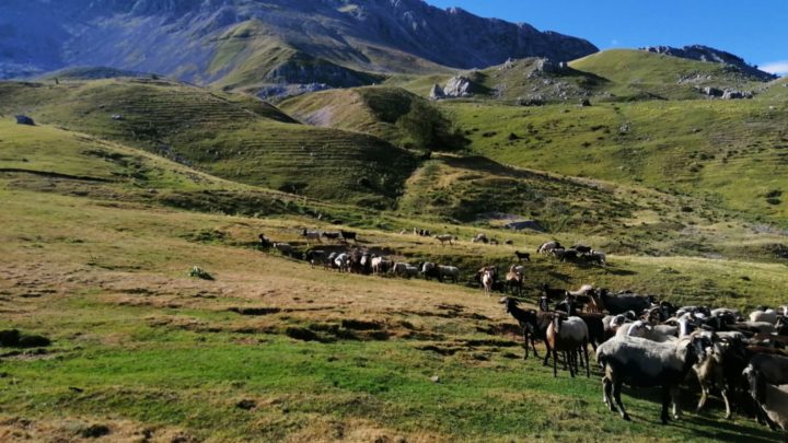 Heritage Tourism. Archeotrekking “Sulle vie dei Sanniti “ a San Biagio Saracinisco con Domenica Beni Culturali e Associazione Calamus