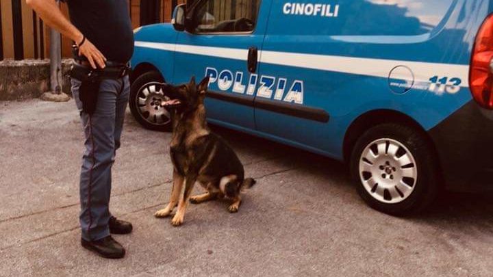 Frosinone – La Polizia di Stato intensifica i servizi di controllo del territorio