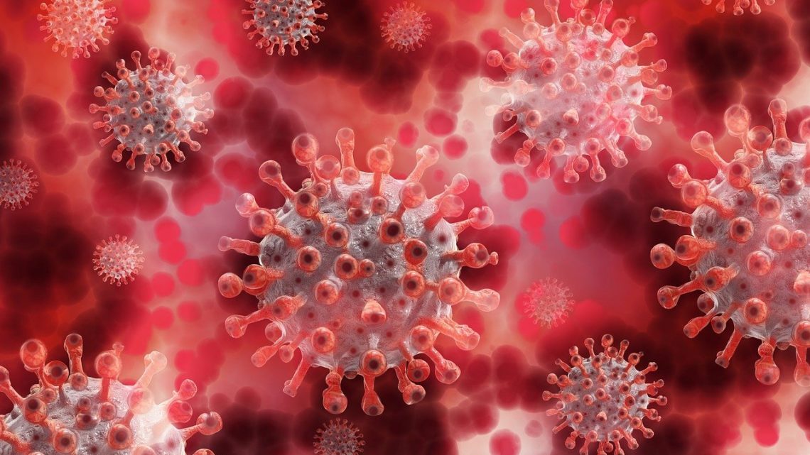 Covid, D’Amato: “Delta variante dominannte all’80,8%. Il 93% dei casi positivi non è vaccinato o con una sola dose” Covid, D’Amato: “Delta variante dominannte all’80,8%. Il 93% dei casi positivi non è vaccinato o con una sola dose”