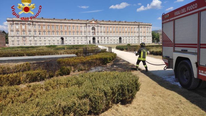 Incendio davanti la Reggia di Caserta, vigili del fuoco impediscono che si estenda
