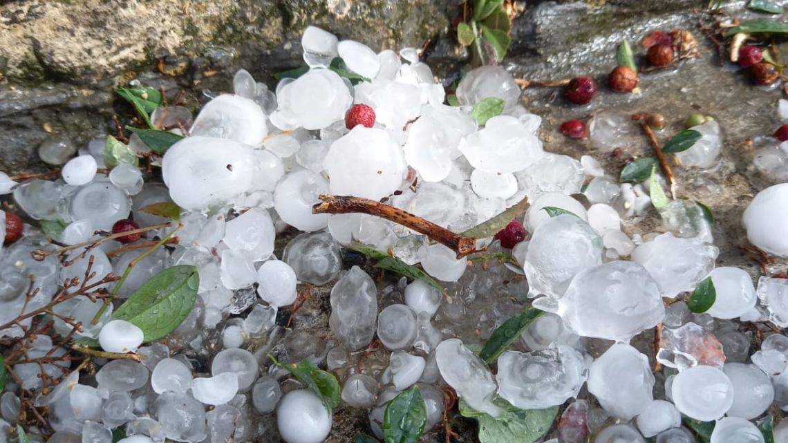 Salento, Valle della Cupa. Verso la vendemmia 2021 tra nubifragi e grandinate Salento, Valle della Cupa. Verso la vendemmia 2021 tra nubifragi e grandinate