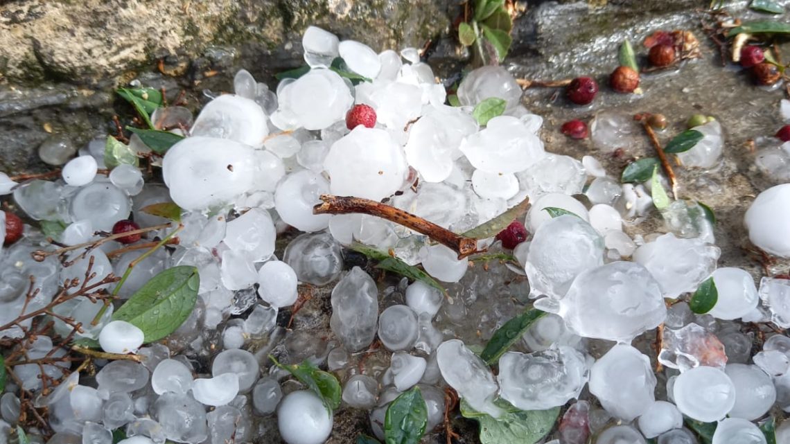 Salento, Valle della Cupa. Verso la vendemmia 2021 tra nubifragi e grandinate