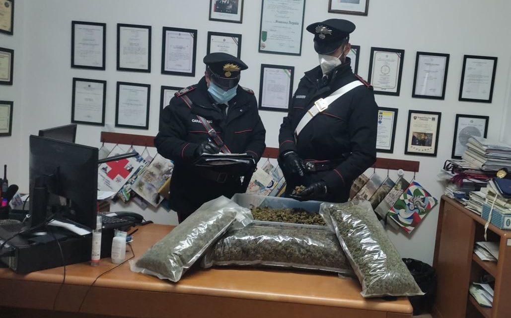 Sessanta chili di Marijuana prodotti illegalmente da azienda agricola a Latina, arrestati due agricoltori