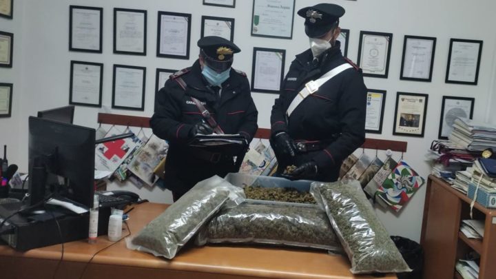 Sessanta chili di Marijuana prodotti illegalmente da azienda agricola a Latina, arrestati due agricoltori