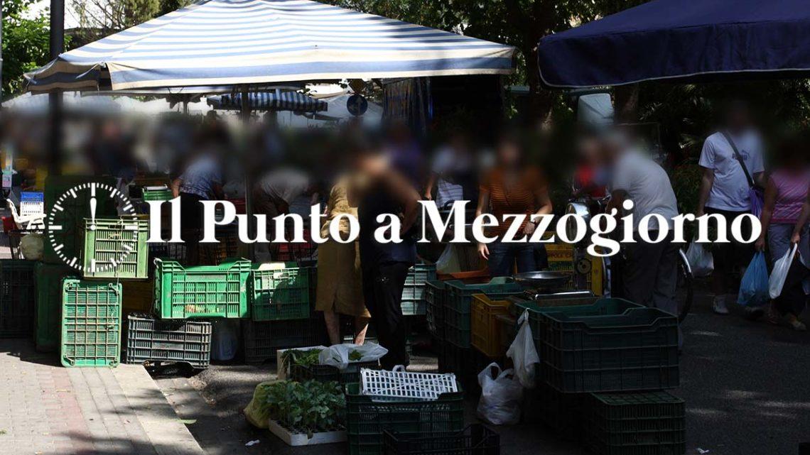 Cassino – Da sabato 19 febbraio mercato ortofrutta in piazza Green Cassino – Da sabato 19 febbraio mercato ortofrutta in piazza Green