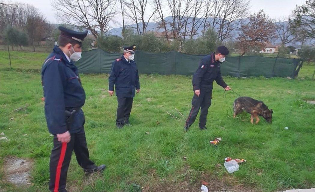 Droga, mamma e quattro figli nell’azienda dello spaccio a Pontecorvo