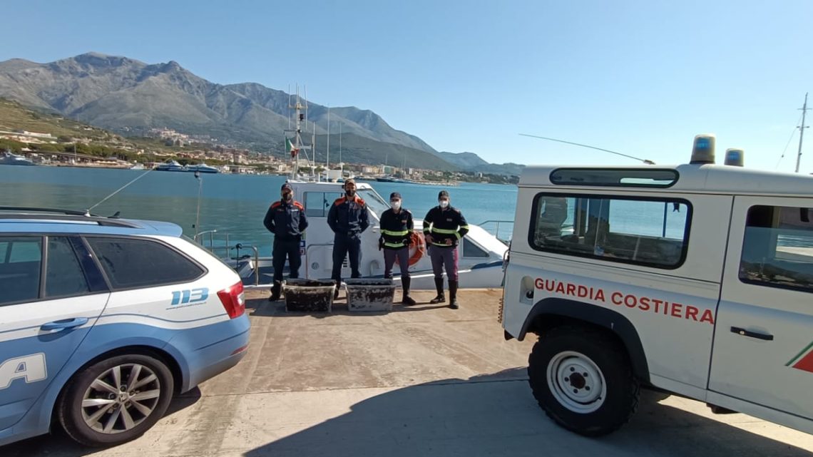 Cassino – In A1 con 2500 ricci di mare pescati abusivamente, denunciati pescatori pugliesi