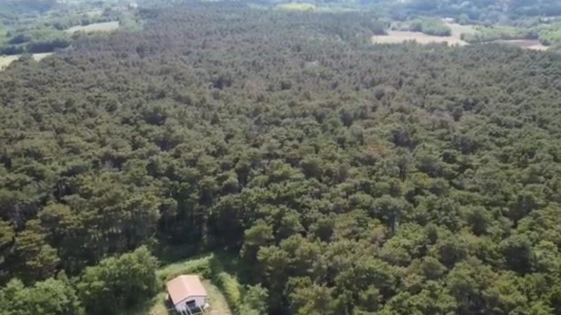 Cassino – Iniziati i lavori al bosco Vandra