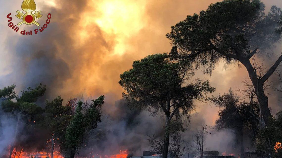 Incendio nella pineta di Castel Fusano a Roma, brucia anche campeggio