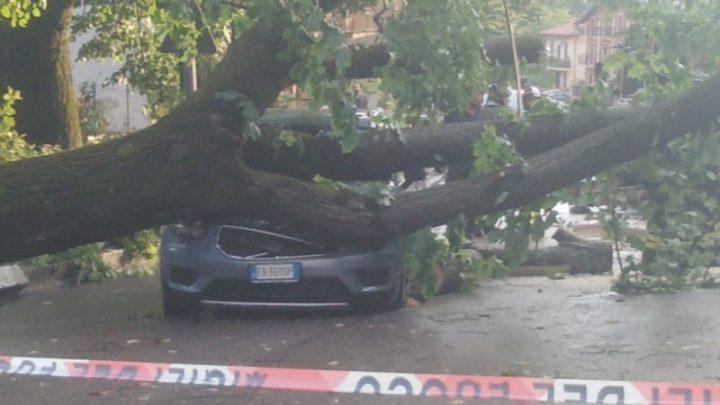 Temporale a Frosinone, albero schiaccia auto su via America Latina